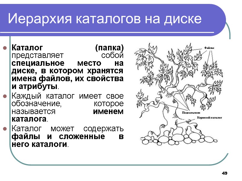 49 Иерархия каталогов на диске Каталог (папка) представляет собой специальное место на диске, в